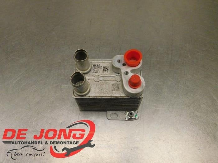 Echangeur de chaleur d'un Cupra Born, -, 3 mois de garantie, Utilisé, -