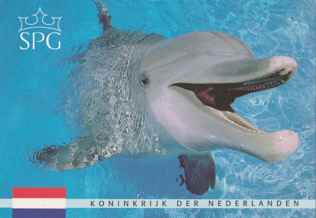 DOLFIJN, Verzamelen, Ophalen of Verzenden, 1980 tot heden, Gelopen, Waterdier