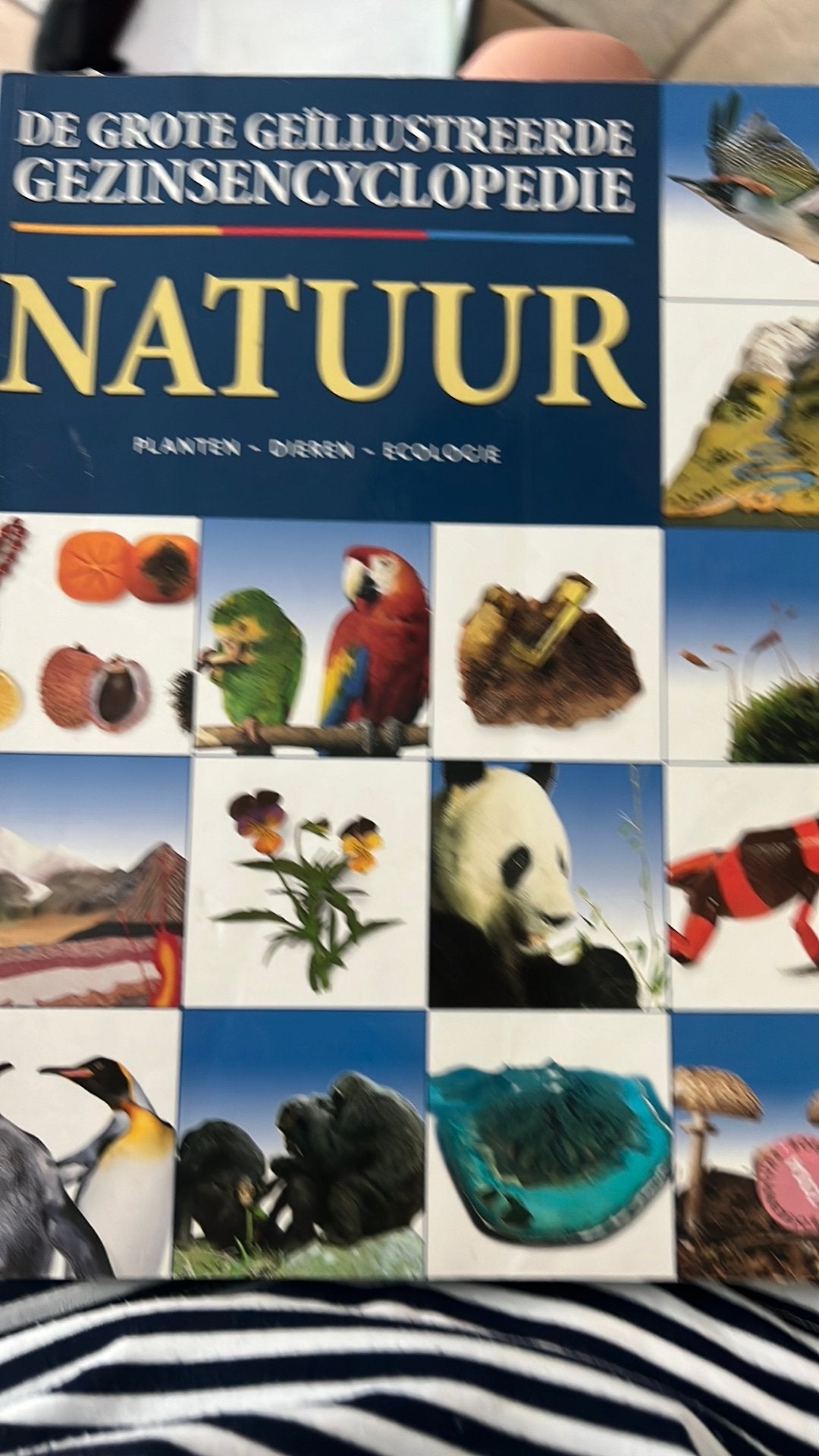 Natuur- De grootste geïllustreerde gezinsenceclopedie, Boeken, Encyclopedieën, Ophalen, Gelezen, Dieren, Los deel