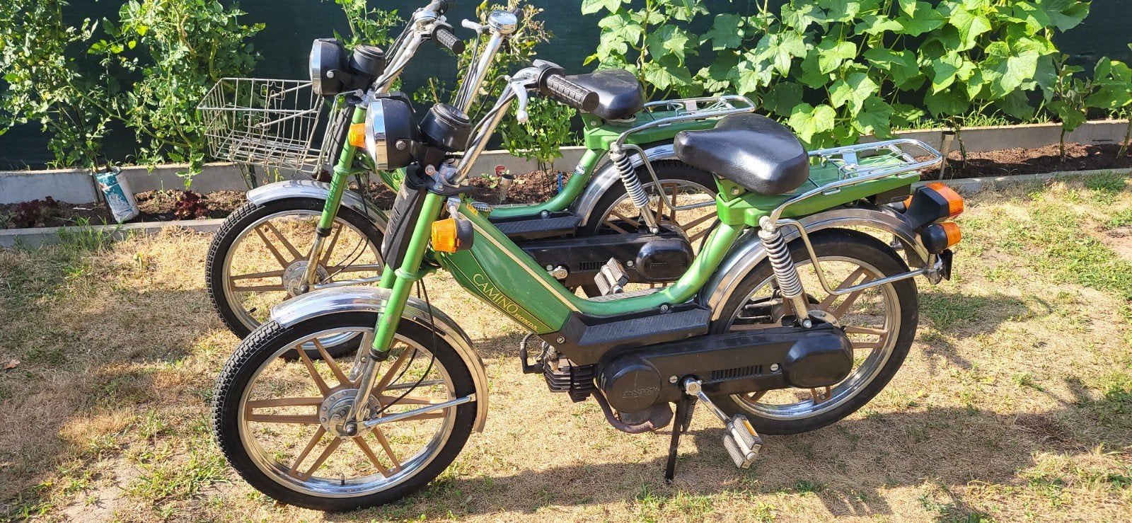 Honda Camino, Fietsen en Brommers, Brommers | Oldtimers, Ophalen of Verzenden, Klasse B (45 km/u), 49 cc, Overige merken