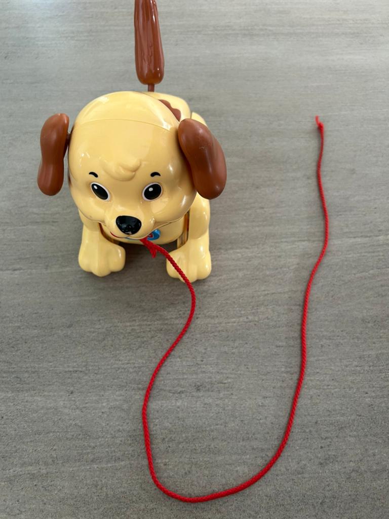 Speelgoed hondje met touw Fisher Price, Ophalen, Zo goed als nieuw