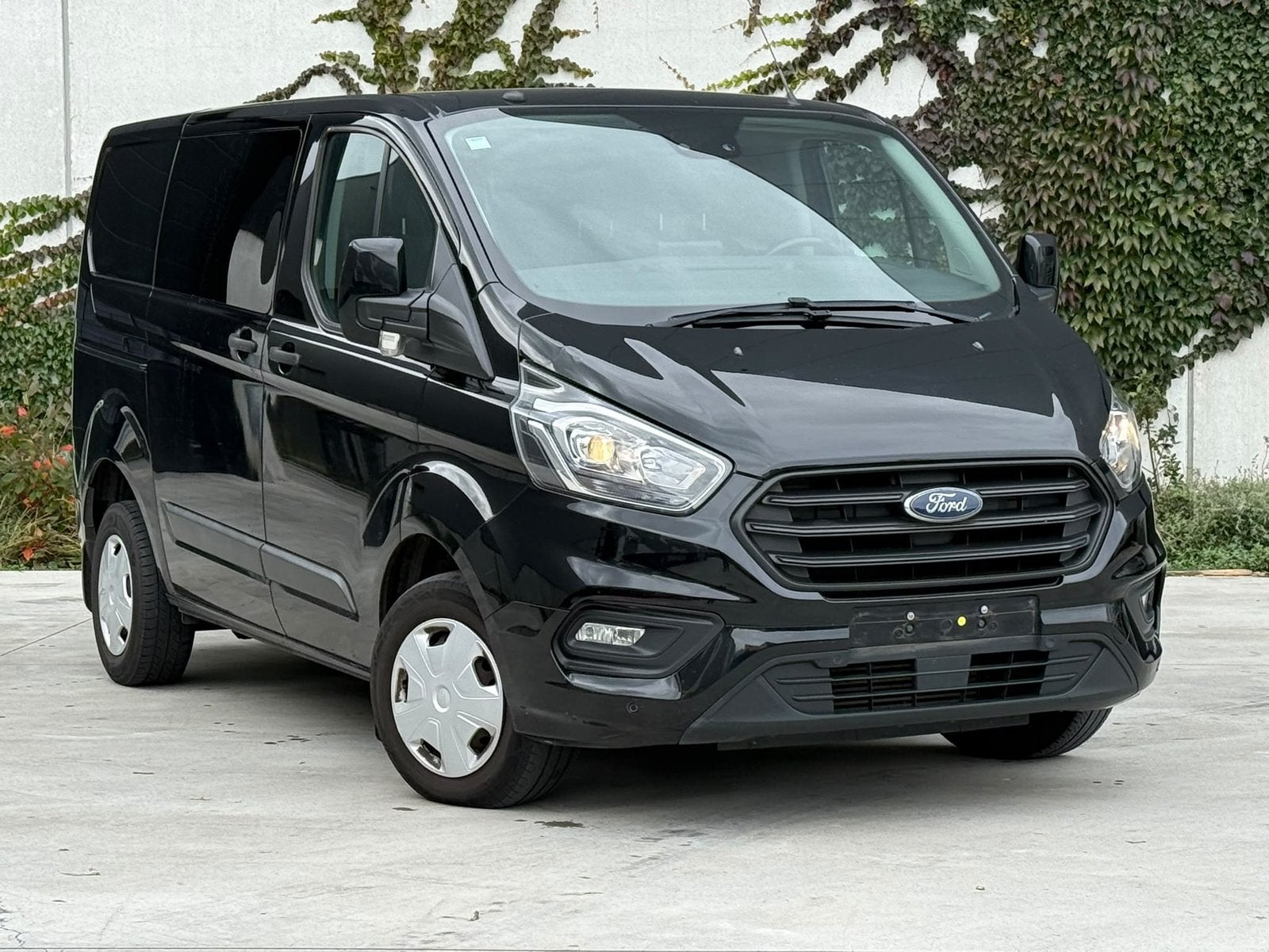 Ford Transit Custom 2.0 Diesel à cabine double, Achat, Euro 6, Carnet d'entretien, Particulier