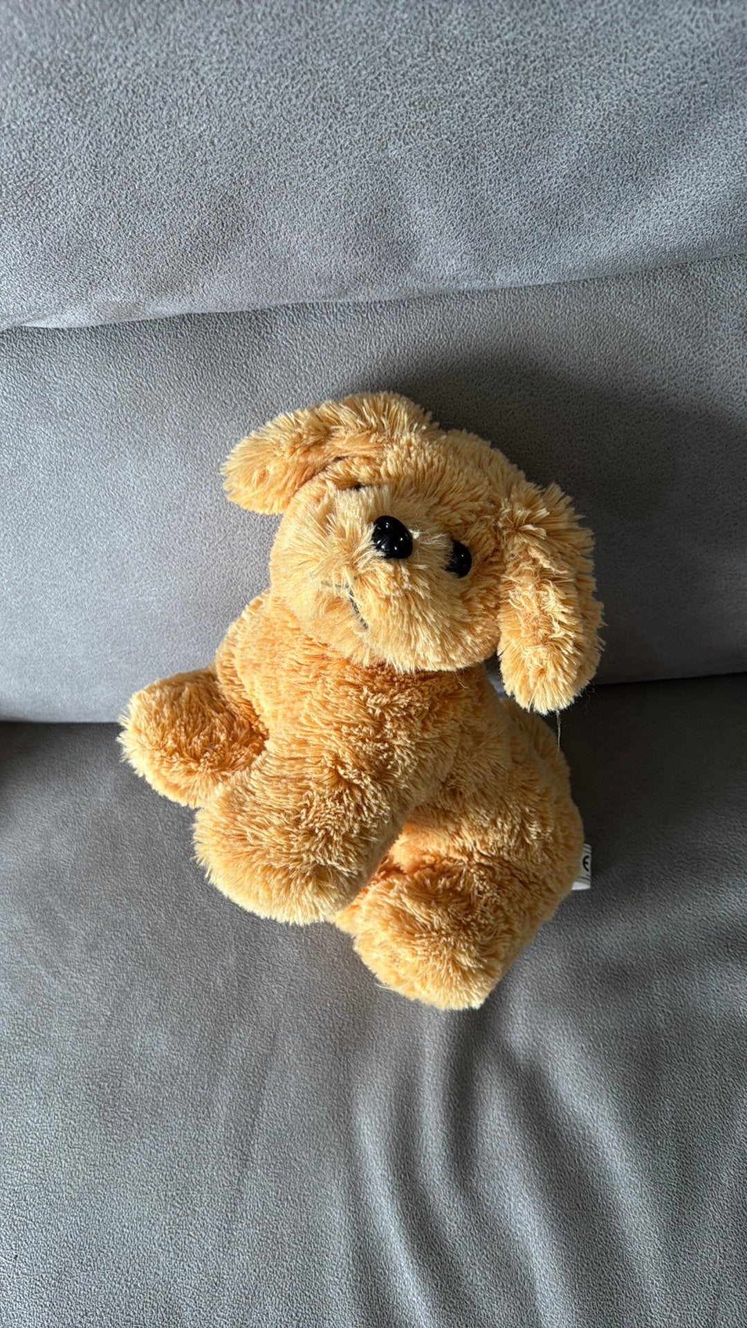 Knuffelhondje, Enfants & Bébés, Enlèvement ou Envoi, Comme neuf, Brun, Chien