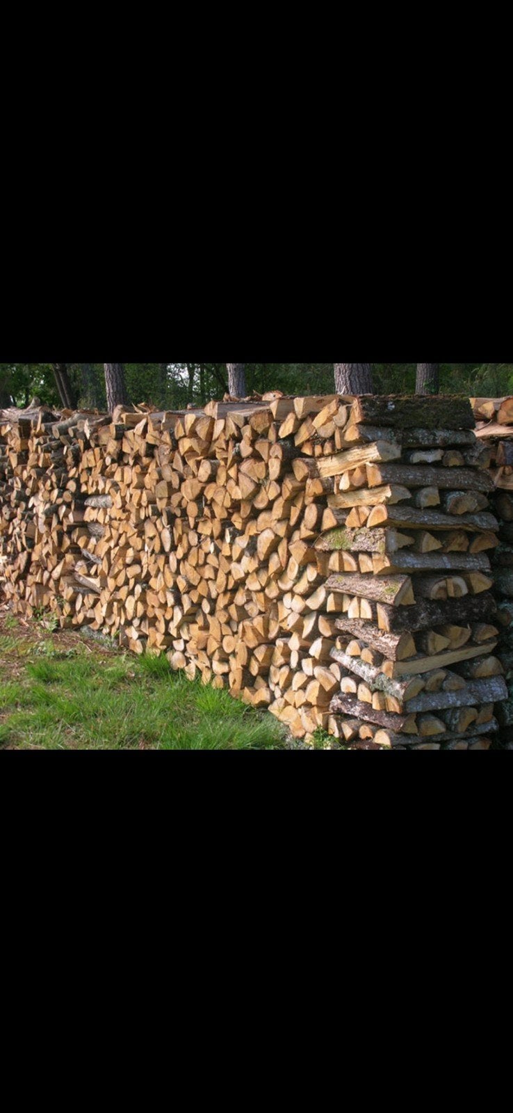 bois de chauffage sec, Ophalen, Eiken