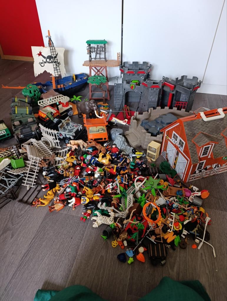 Groot lot Playmobil, Enlèvement