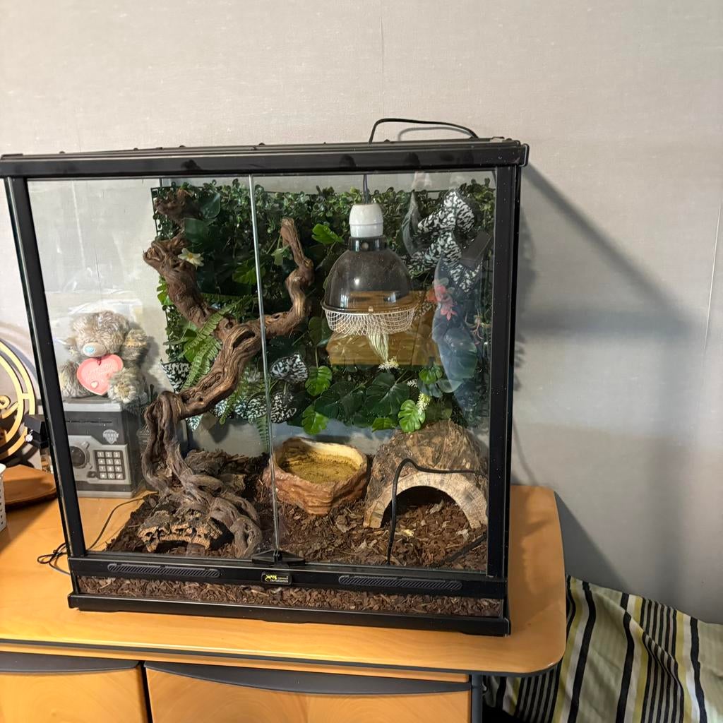 terrarium, Enlèvement, Comme neuf