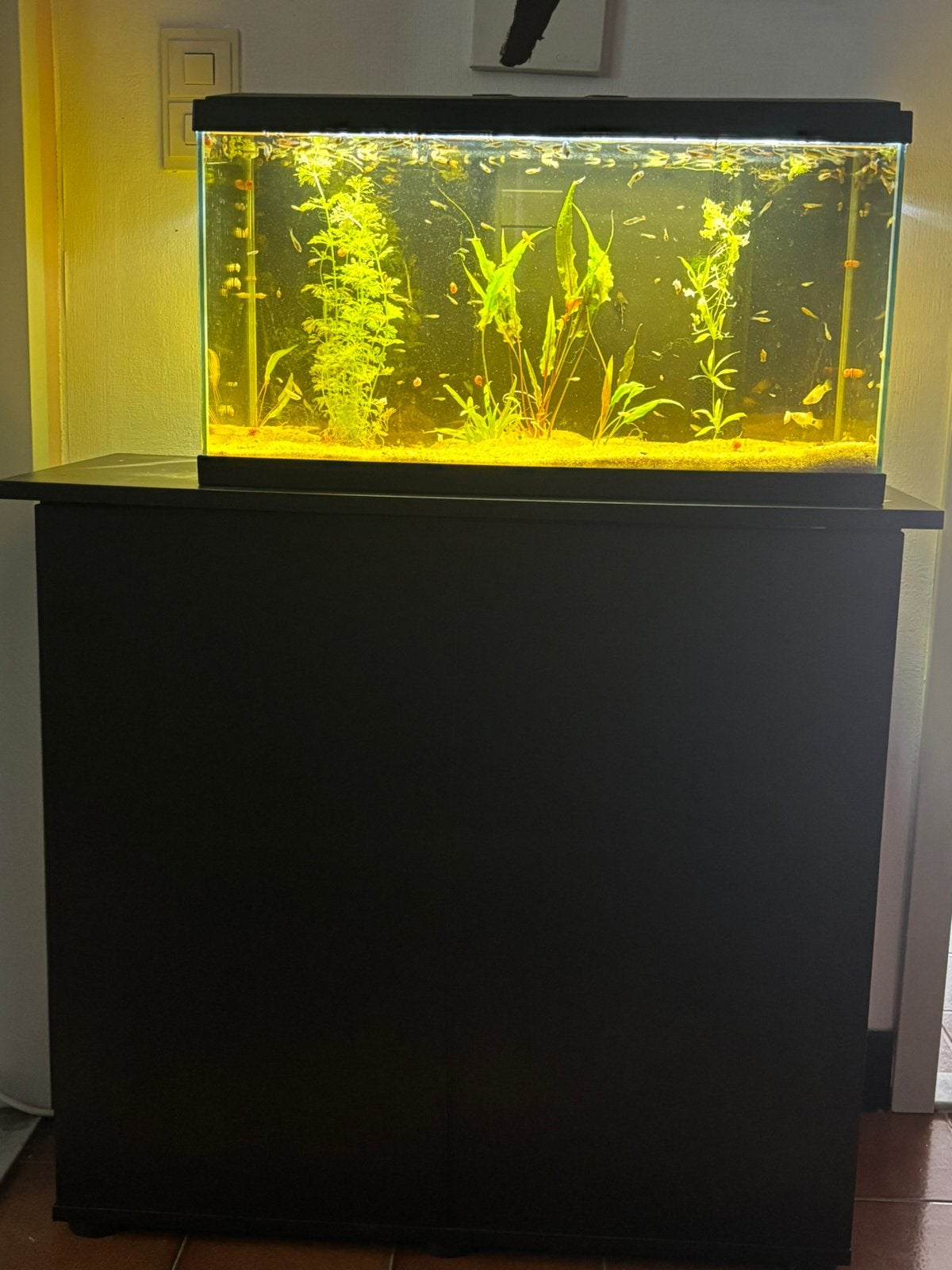 Aquarium avec meuble complet, Enlèvement, Comme neuf