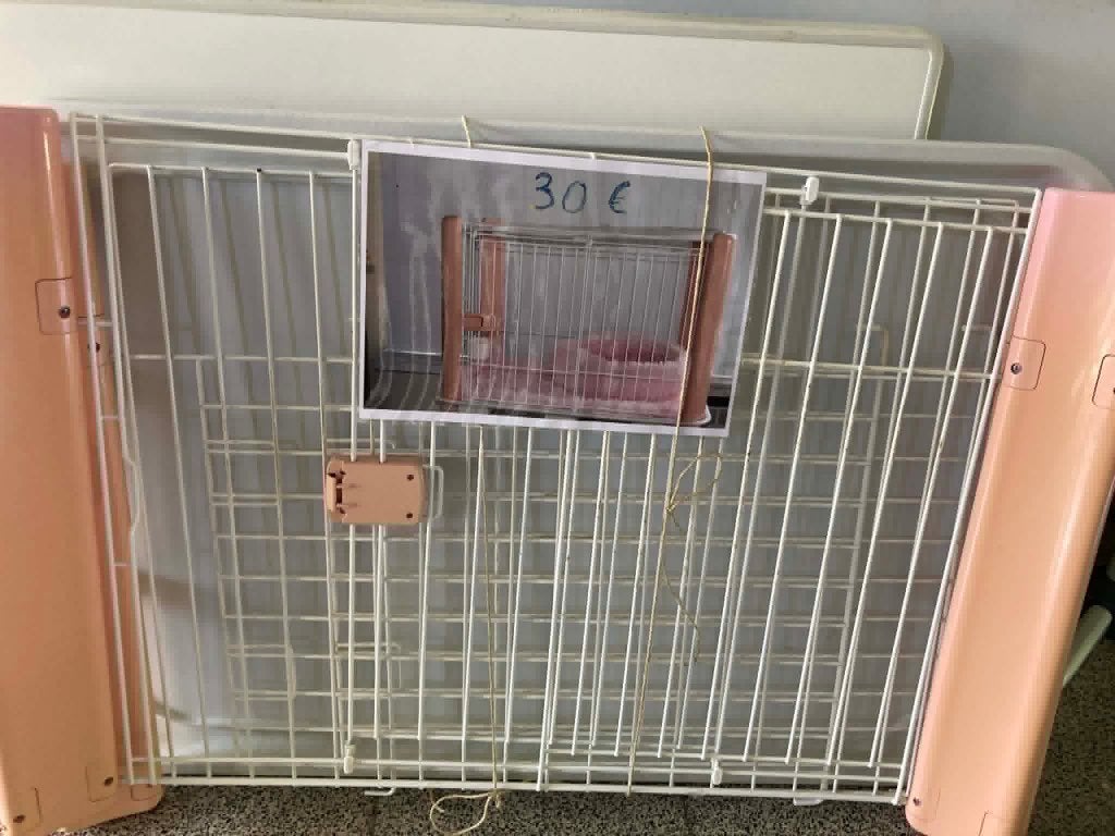 Bench te koop, Ophalen, Gebruikt