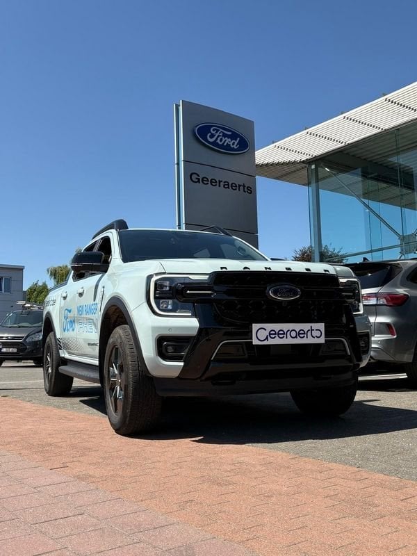 Ford Ranger, Cuir, Argent ou Gris, Achat, Entreprise