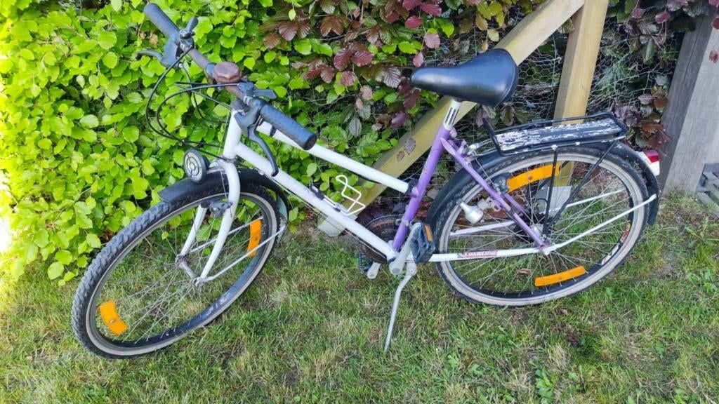 Paars-witte studentenfiets, Ophalen, Gebruikt, Overige merken, Versnellingen