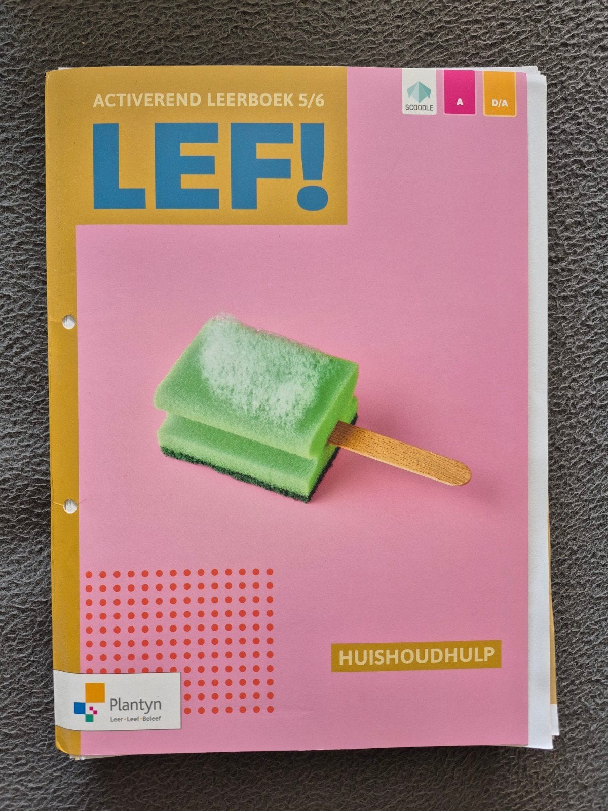 LEF Activerend leerboek 5/6 Huishoudhulp, Enlèvement, Néerlandais