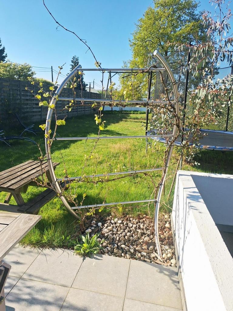 2 RVS plantgeleiders met 4 druivelaars, Tuin en Terras, Ophalen, Volle zon, Overige soorten, Zomer