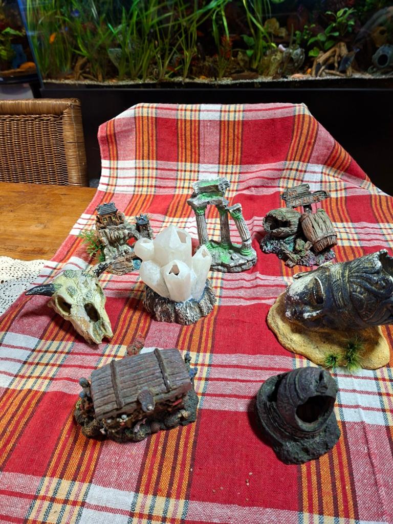 Leuke deco voor aqaruim., Dieren en Toebehoren, Vissen | Aquariumvissen
