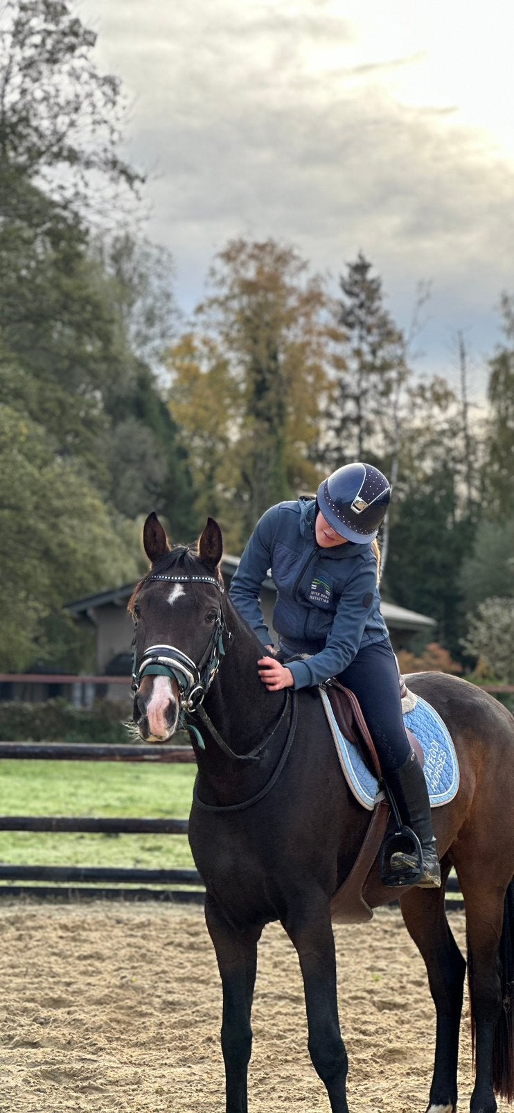 4 jarige merrie te koop!, Animaux & Accessoires, Chevaux, Jument, Débourré, 165 à 170 cm, 3 à 6 ans, Cheval de dressage, Avec pedigree