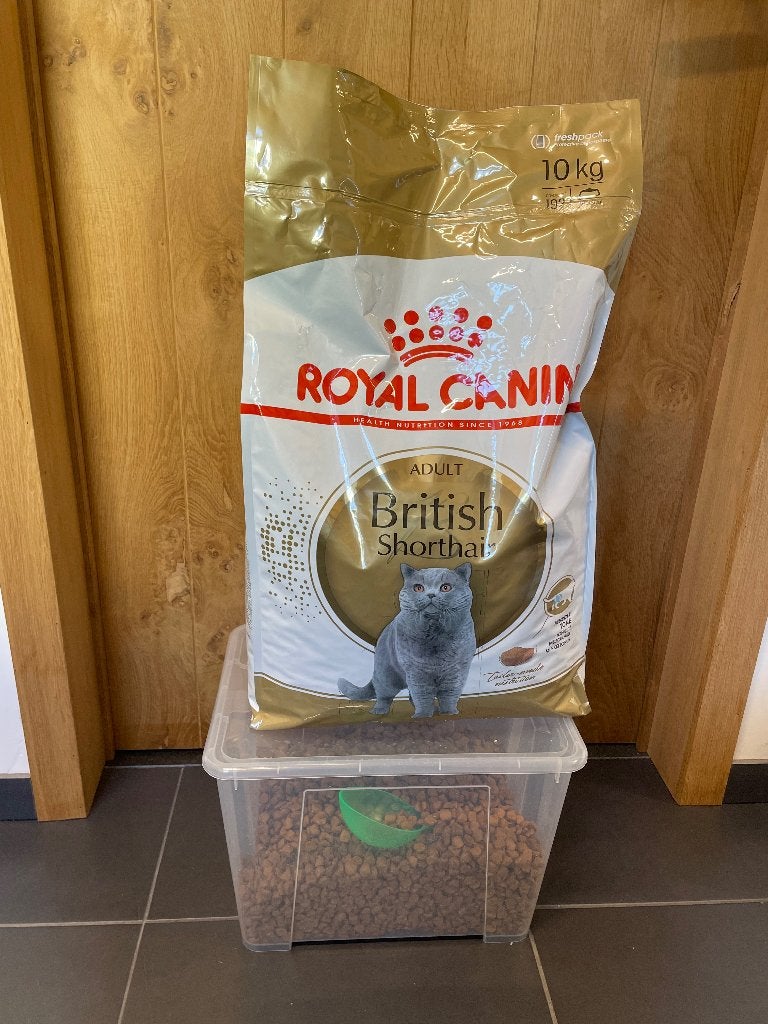 Royal Canin British shorthair, Dieren en Toebehoren, Ophalen, Kat