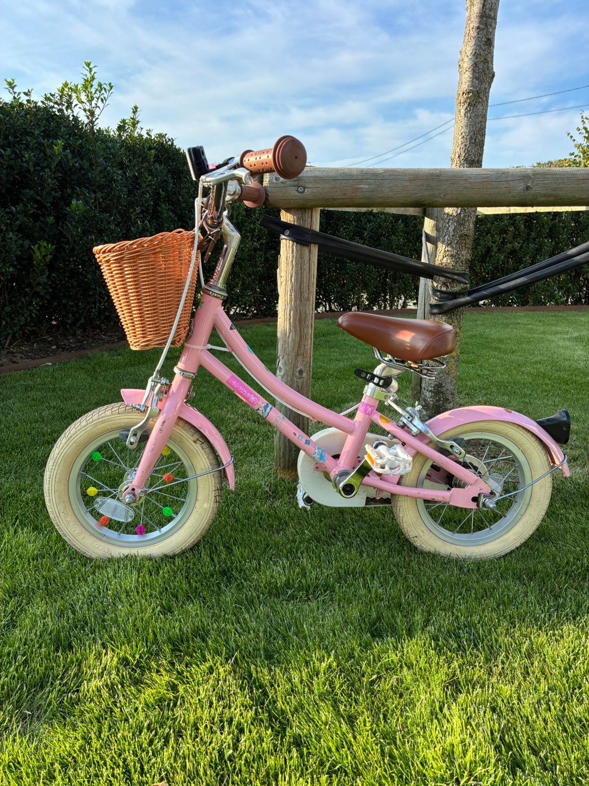 12,5 inch meisjes fiets, Fietsen en Brommers, Fietsen | Kinderfietsjes, Ophalen, Gebruikt, Minder dan 16 inch, Zijwieltjes
