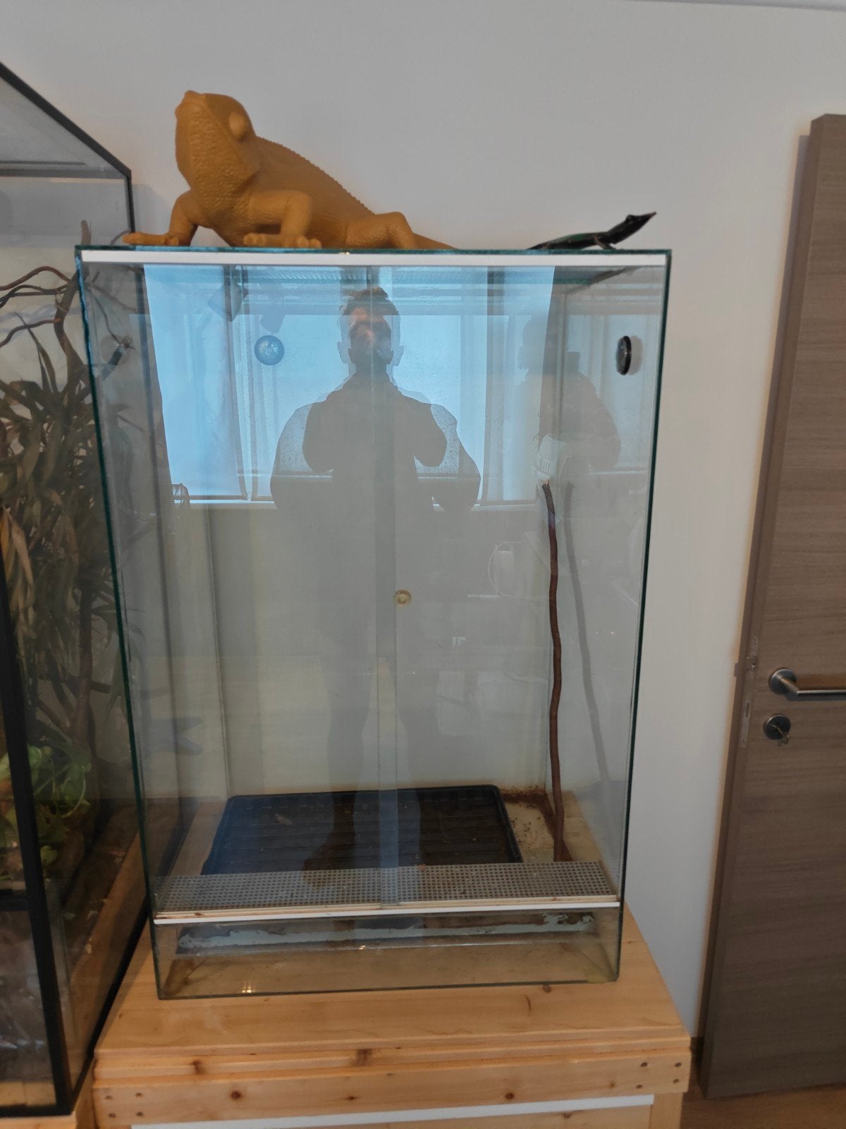 Glazen terrarium hoog | 67x50x82, Dieren en Toebehoren, Ophalen, Gebruikt, Terrarium of Paludarium