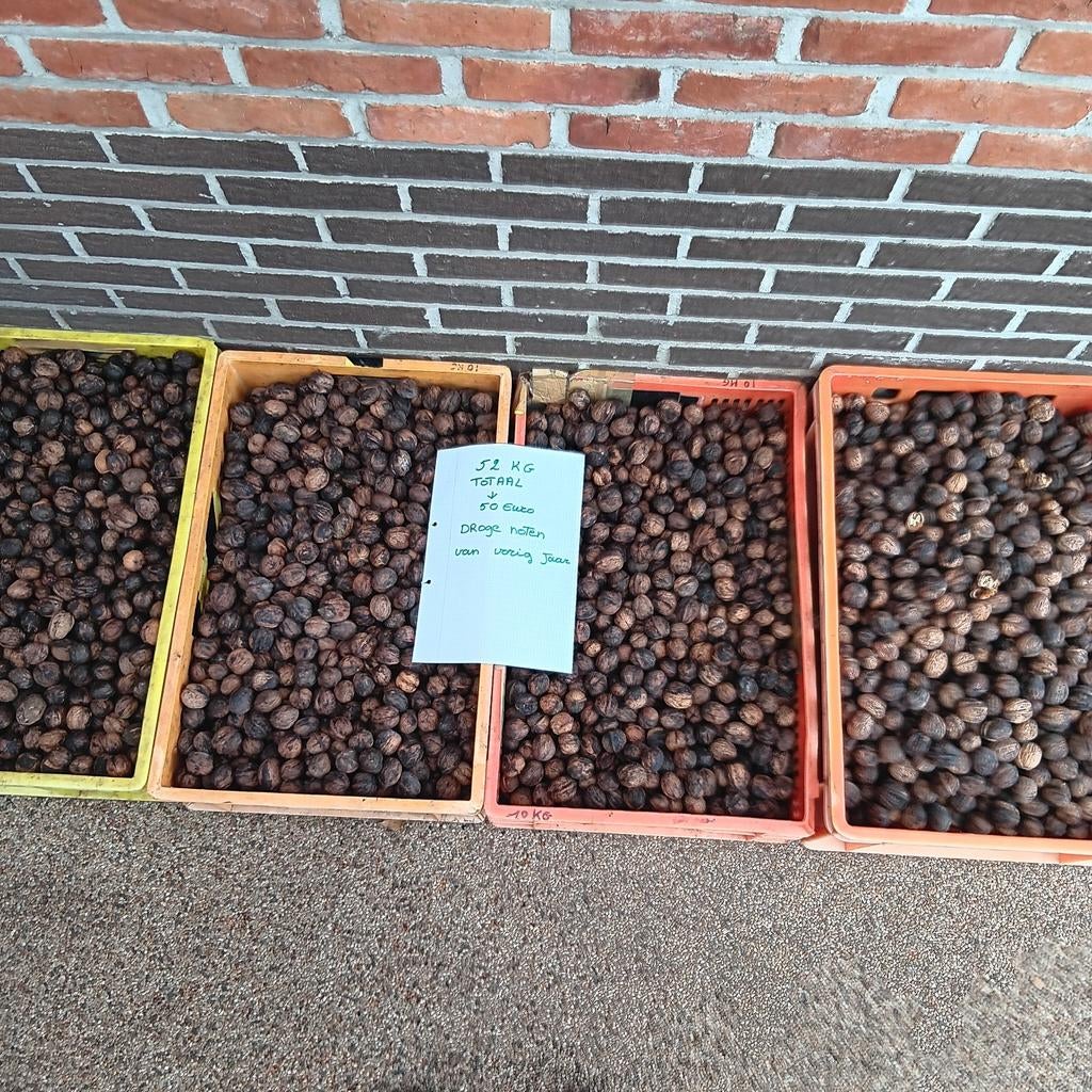 Okkernoten, Diversen, Levensmiddelen, Ophalen