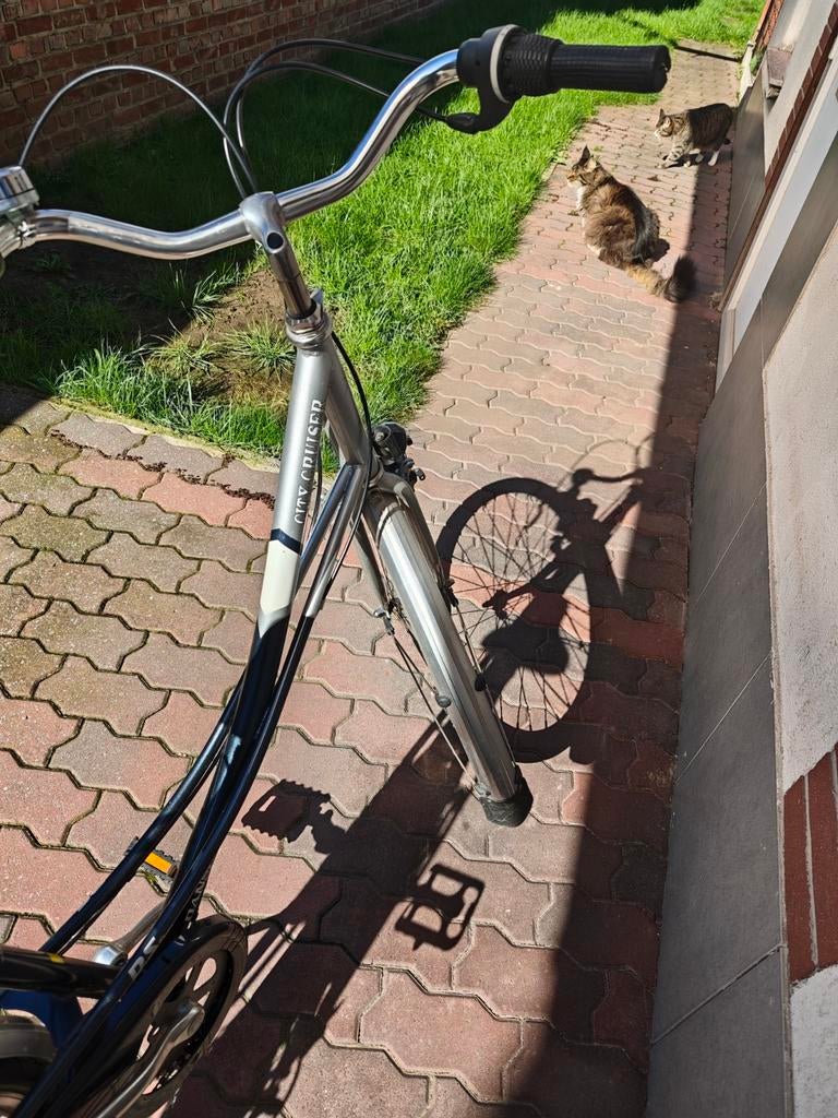 Dames fiets, Ophalen of Verzenden