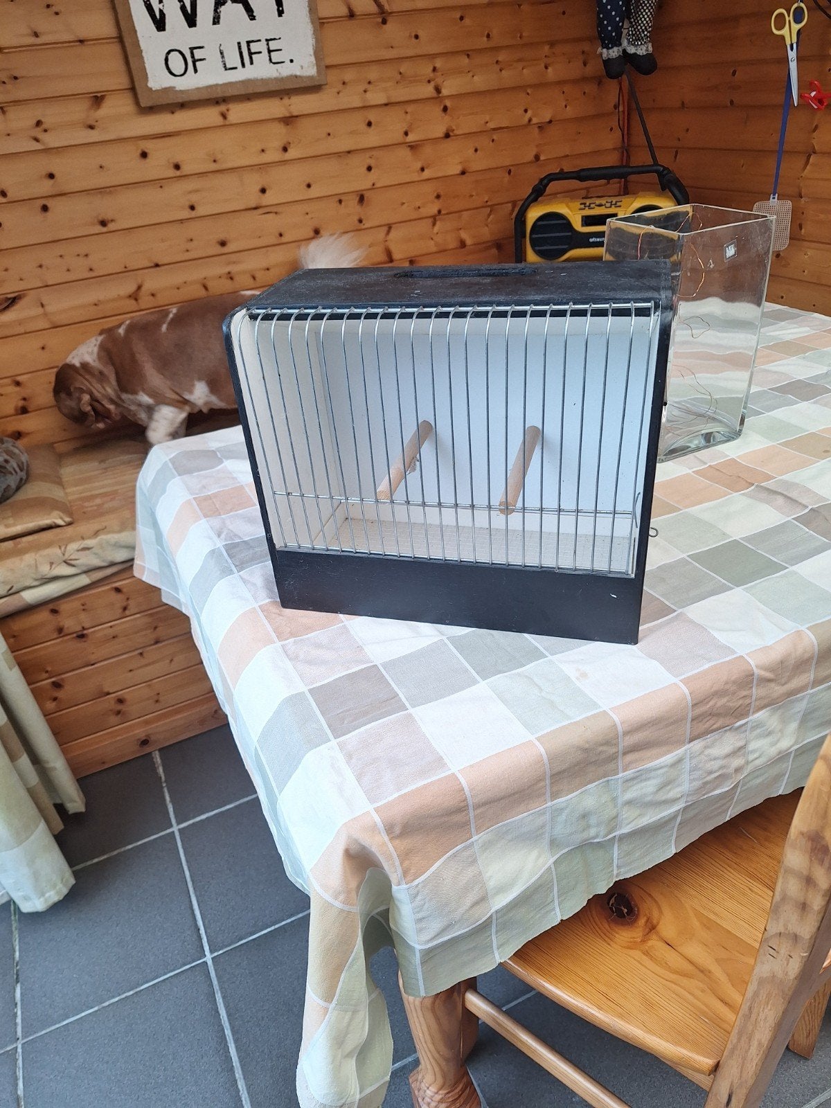 Tentoonstellingskooi, Dieren en Toebehoren, Ophalen