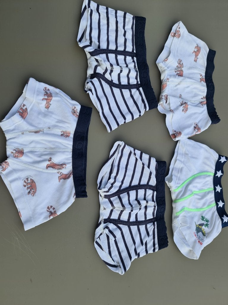 Onderbroek, slip, Petit Bateau, 110, Ophalen, Zo goed als nieuw