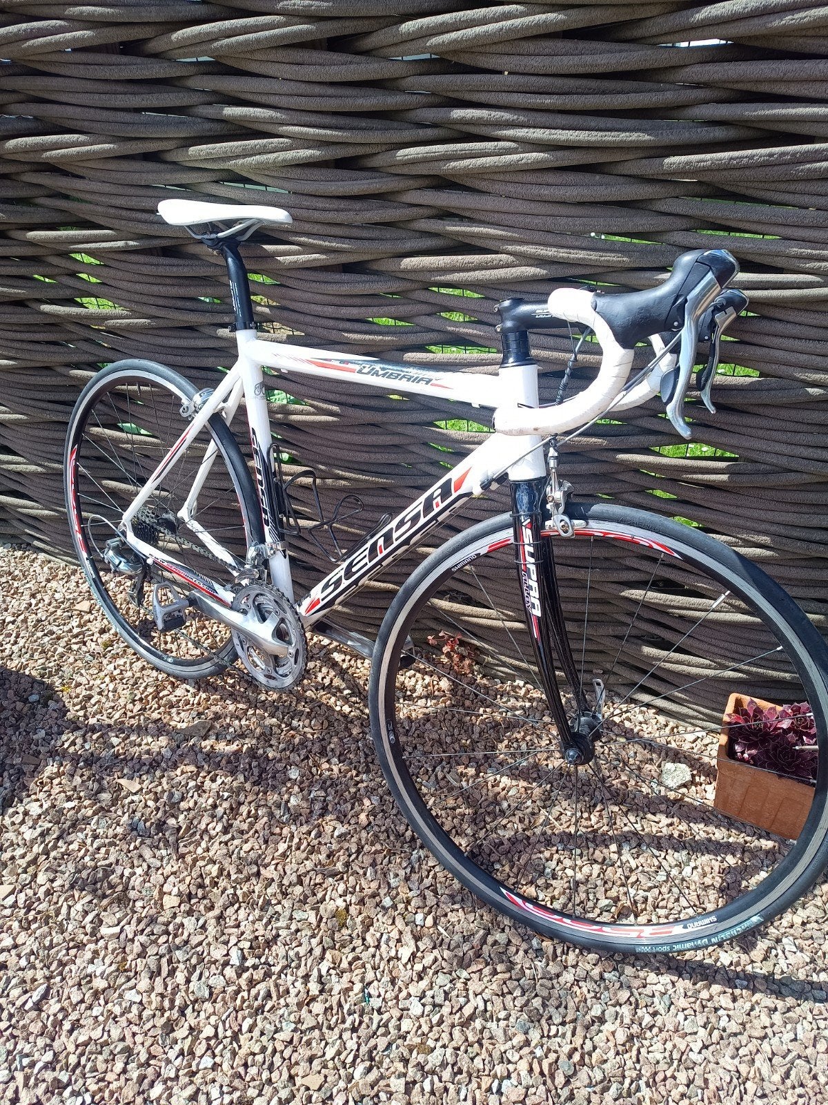 Sensa racefiets, Vélos & Vélomoteurs, Enlèvement