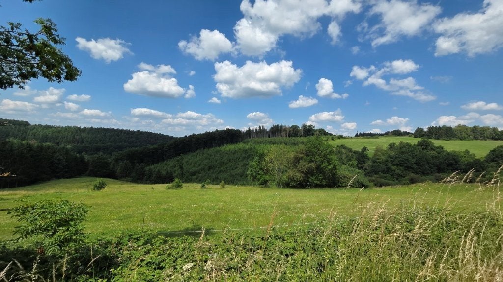 6997 Erezee: bouwgrond, 10a 13ca., Immo, Gronden en Bouwgronden, Erezee, 1000 tot 1500 m²