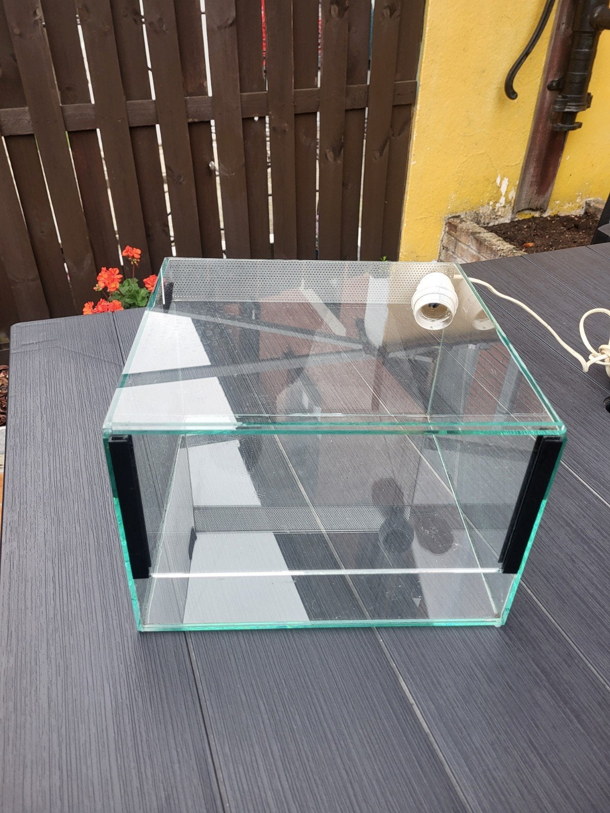 terrarium, Animaux & Accessoires, Enlèvement
