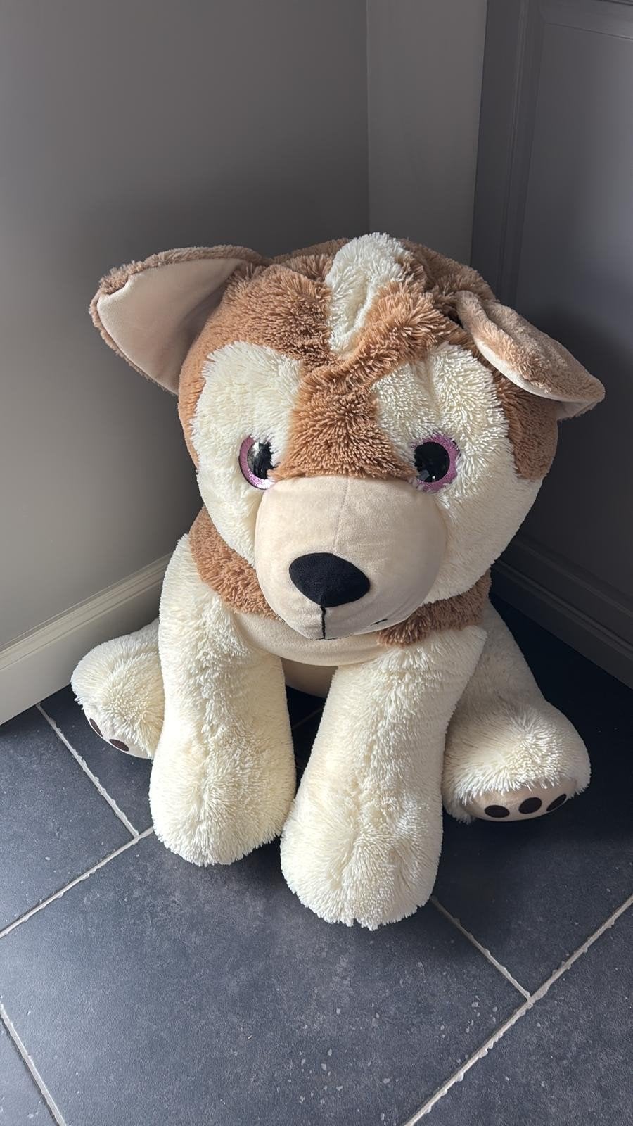 Knuffel hond, Ophalen, Gebruikt, Hond, Middelgroot (20 tot 80 cm)
