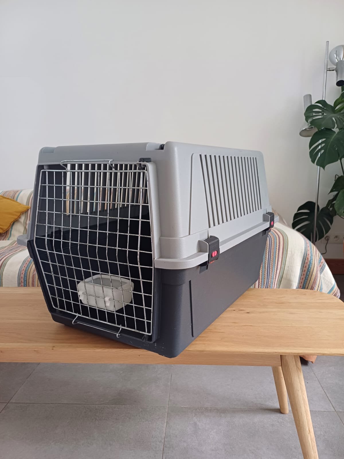 Stevige en praktische hondenkooi / transportbox, Dieren en Toebehoren, Ophalen, Minder dan 65 cm, Zo goed als nieuw, Minder dan 75 cm