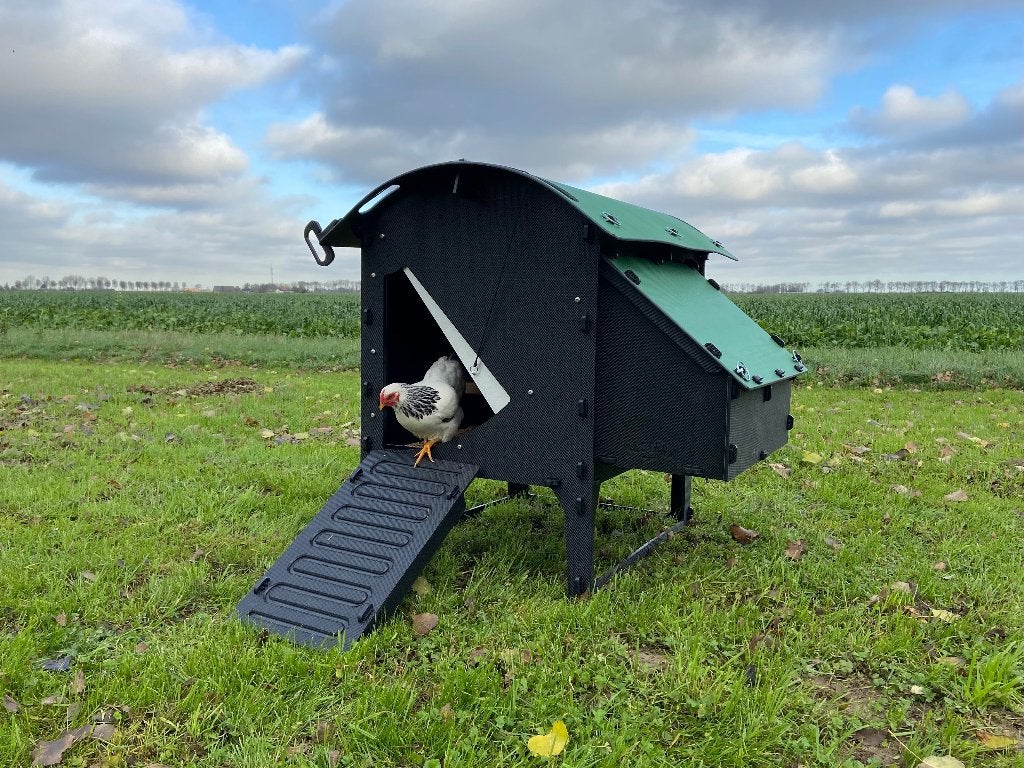 Nestera Kippenhok Medium op pootjes | Kunststof nachthok, Dieren en Toebehoren, Ophalen of Verzenden, Nieuw, Kippenhok of Kippenren