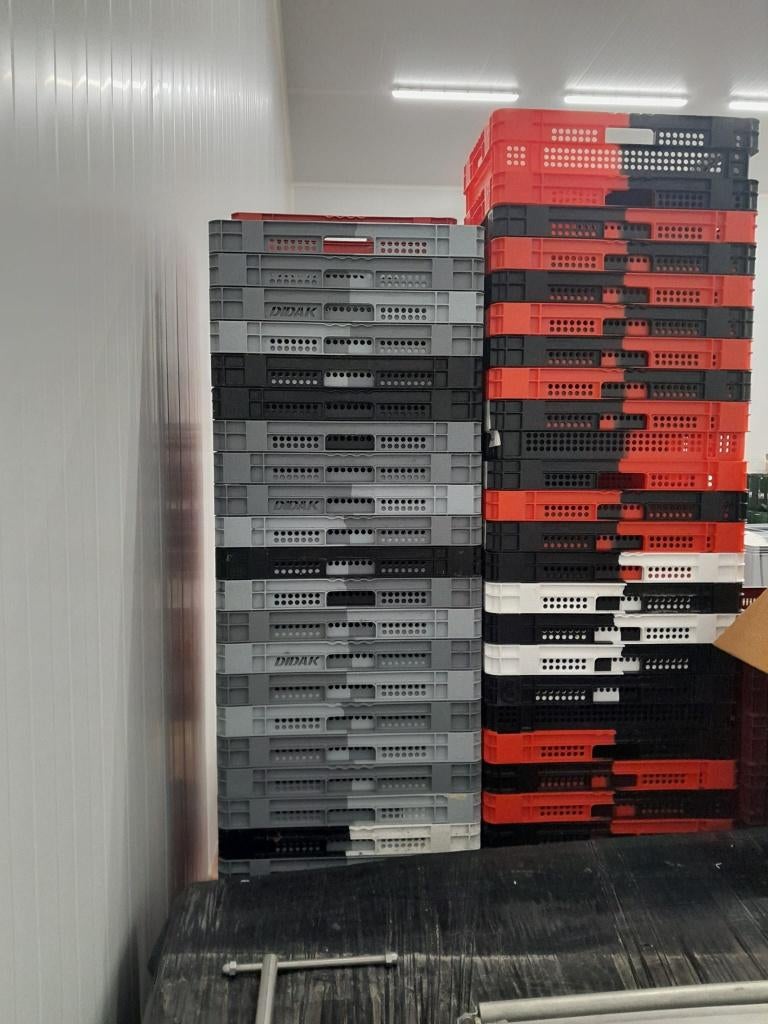 Kratten 60 x 40 x 12 - 14cm - Gratis, Doe-het-zelf en Bouw, Ophalen, 40 tot 60 cm, 50 tot 75 cm, Minder dan 35 cm