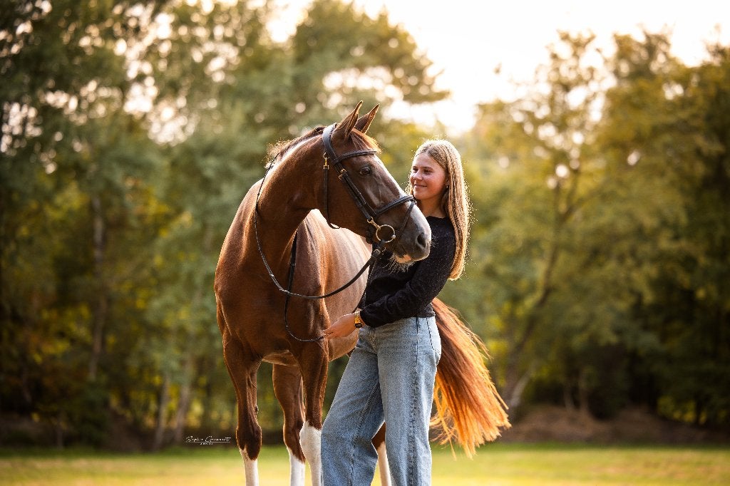 Lieve springmerrie (10Y), ideaal voor overgang pony/paard, Avec pedigree, M, 160 à 165 cm, Cheval de saut