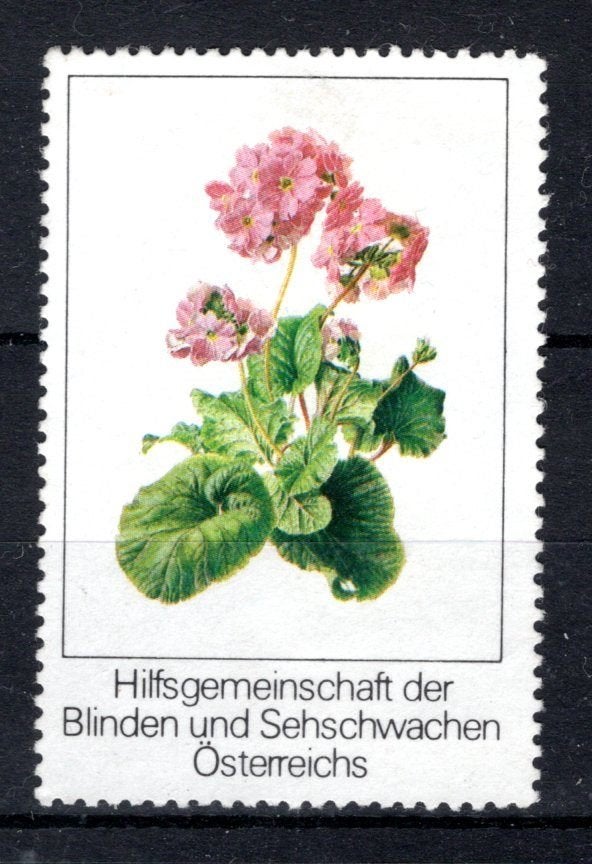OOSTENRIJK Hilfsgemeinschaft der Blinden 1950, Verzenden, Postfris
