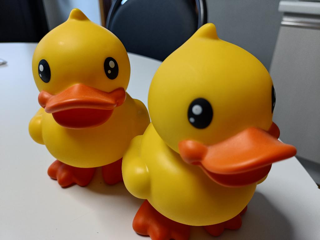 BDuck 2 spaarpotten eenden, Enlèvement ou Envoi, Neuf, Synthétique, Animal