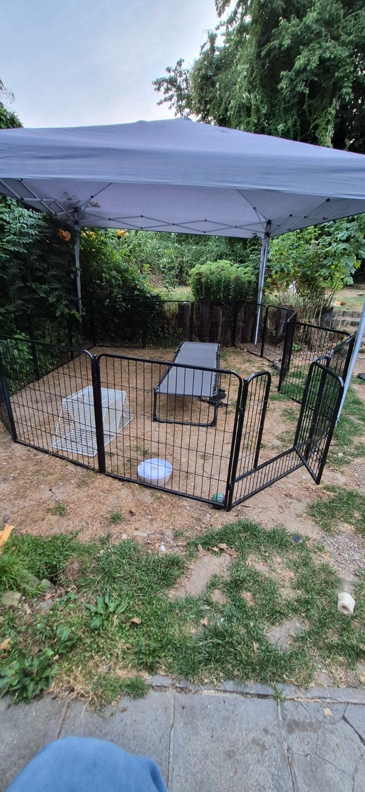 Enclos extérieur pour chien