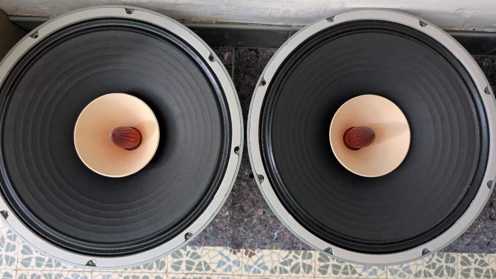 15" Lii Song F-15/W-15 paar, Audio, Tv en Foto, Luidsprekerboxen, Ophalen, Zo goed als nieuw