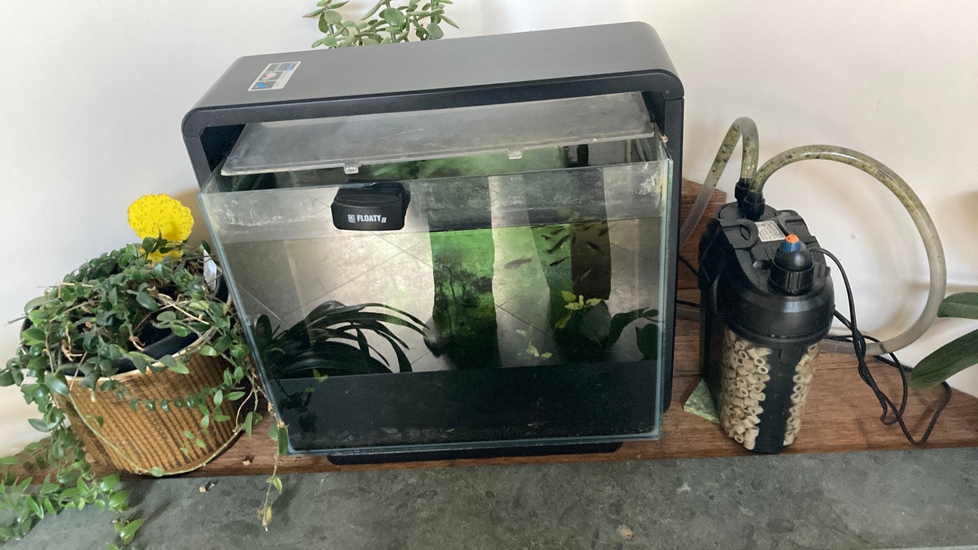 Aquarium super fish home 40, Dieren en Toebehoren, Ophalen, Verwarming, Gebruikt, Filter