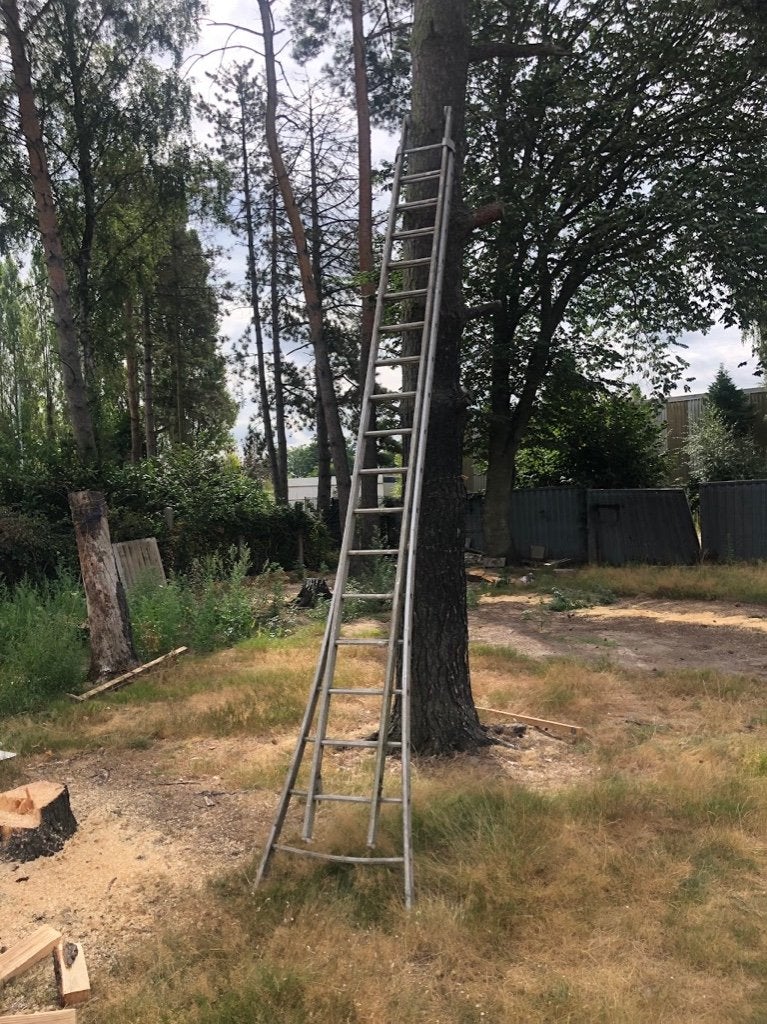 Ladder Solide 2 x 18, Ophalen, Zo goed als nieuw, Ladder, 4 meter of meer