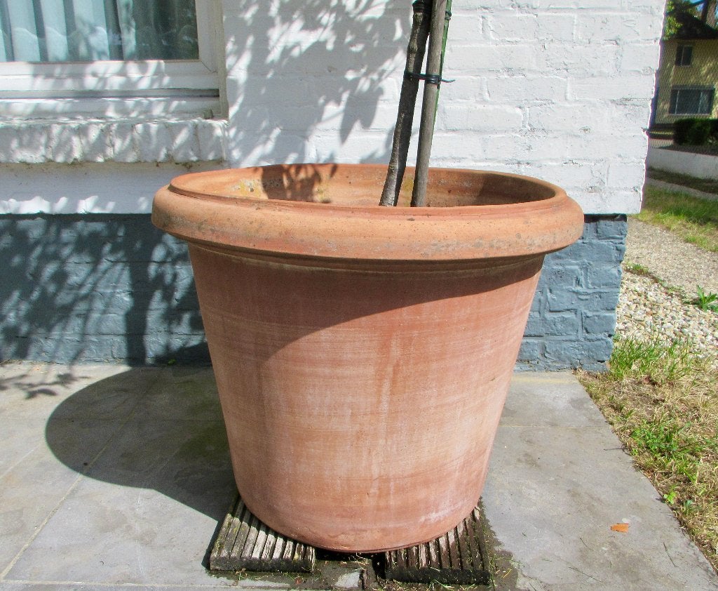 Pot en terre cuite toscane, Balcon, 40 cm ou plus, 40 à 70 cm, Rond
