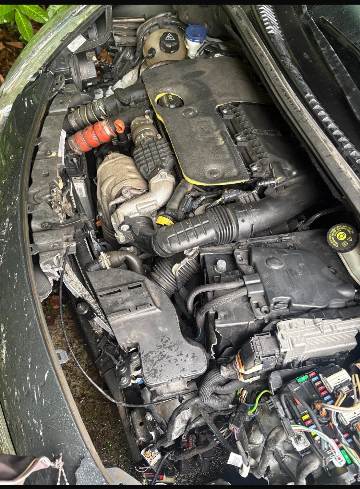 1.6 blauwe HDI-motor, Auto-onderdelen, Ophalen of Verzenden, Citroën