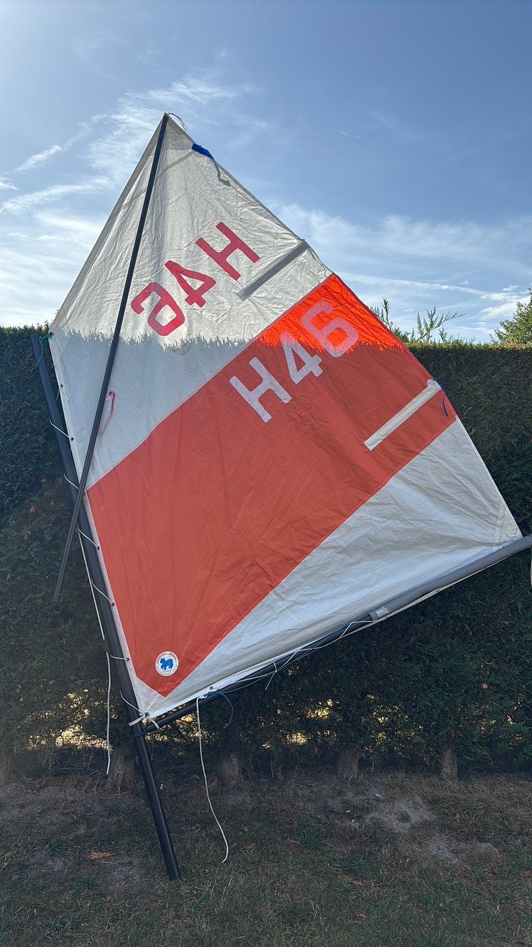 Optimist zeil te koop, Gebruikt, Ophalen, Minder dan 3 meter, Minder dan 15 m²