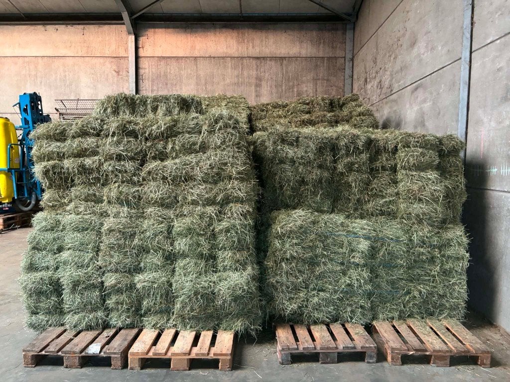superkwaliteit kleine balen hooi te koop, Dieren en Toebehoren, Schapen, Geiten en Varkens