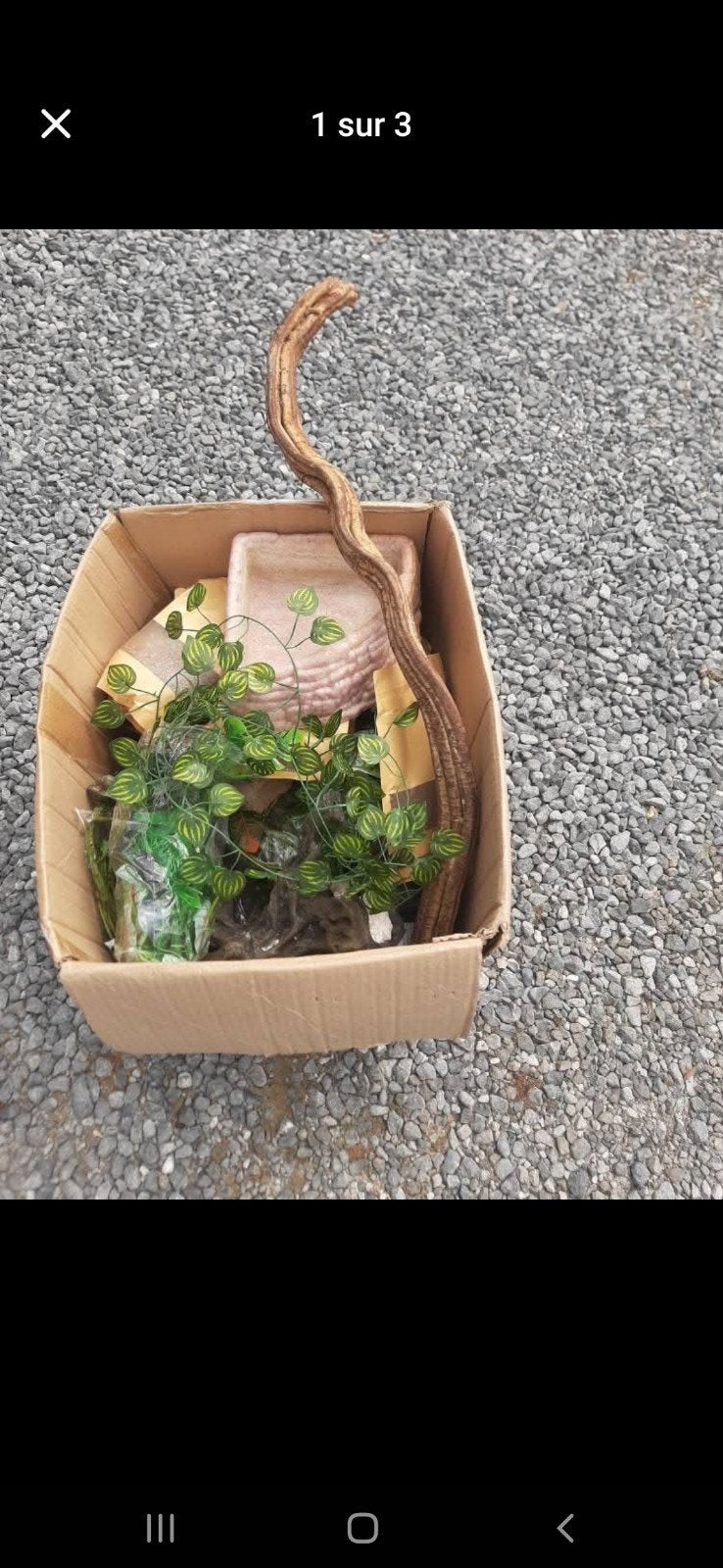 accessoires terrarium, Enlèvement