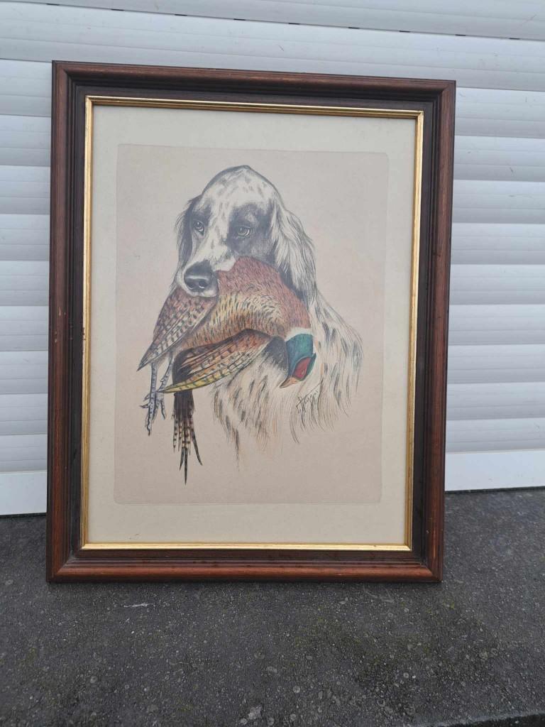 gravure chien de chasse signe reggio, Antiek en Kunst, Kunst | Etsen en Gravures, Gravure, Ophalen of Verzenden