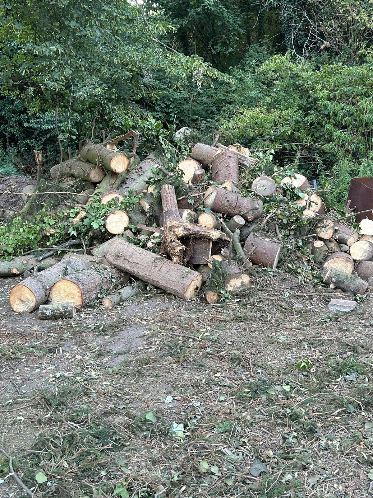 Brandhout, Jardin & Terrasse, Bois de chauffage, Enlèvement, Bûches