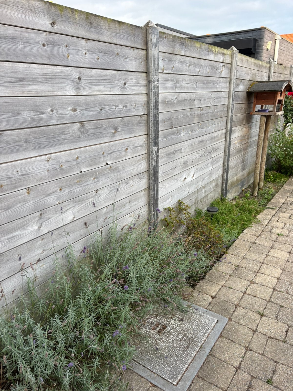 Schutting met hout en gepolieerd beton, Tuin en Terras, Schuttingen, Ophalen, Zo goed als nieuw, Hout
