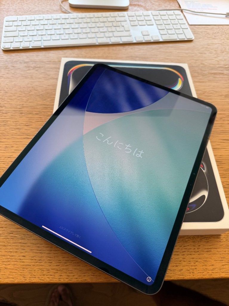 iPad Pro 13" - M4 - Wifi - 256GB - Black + Apple Smart Folio, Computers en Software, Apple iPads, Zo goed als nieuw, Apple iPad