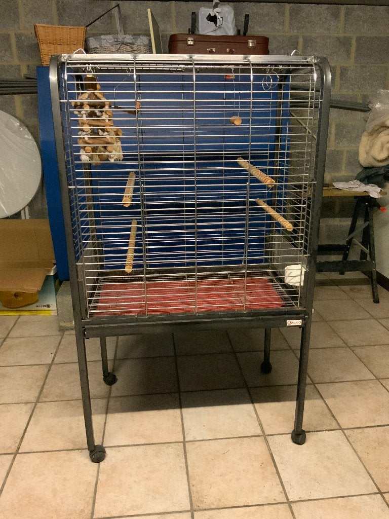 Papegaai kooi, Dieren en Toebehoren, Ophalen, Gebruikt, Metaal, Vogelkooi