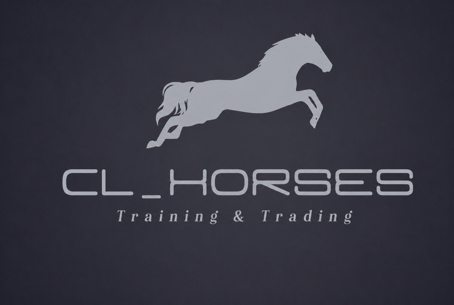 CL - horses training & trading, Dieren en Toebehoren, Zadelmak